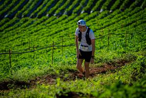 BIB: 2758
                            <button type="button" onclick="openModal(19160846)" class="btn btn-primary btn-sm float-right btn-popup" data-toggle="modal" data-target=".modal-high-quality">
                        <i class="fas fa-shopping-cart"></i> Add to Cart
                    </button>
                                            <button type="button" onclick="isThisMe(19160846, true)" class="btn btn-success btn-sm float-right btn-popup btn-isme hidden" data-toggle="tooltip" data-placement="bottom" title="นี่คือรูปของคุณใช่ไหม คลิกที่นี่เพื่อเอาเข้าอัลบั้ม">
                        <i class="fas fa-plus"></i> Add to album
                    </button>
                    <button type="button" onclick="isThisMe(19160846, false)" class="btn btn-warning btn-sm float-right btn-popup btn-isnotme hidden">
                        <i class="fas fa-ban"></i> Remove from album
                    </button>